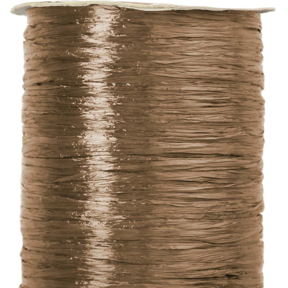 Pearlized Raffia Ribbon - Roll of Metallic Rafia - Not Expensive