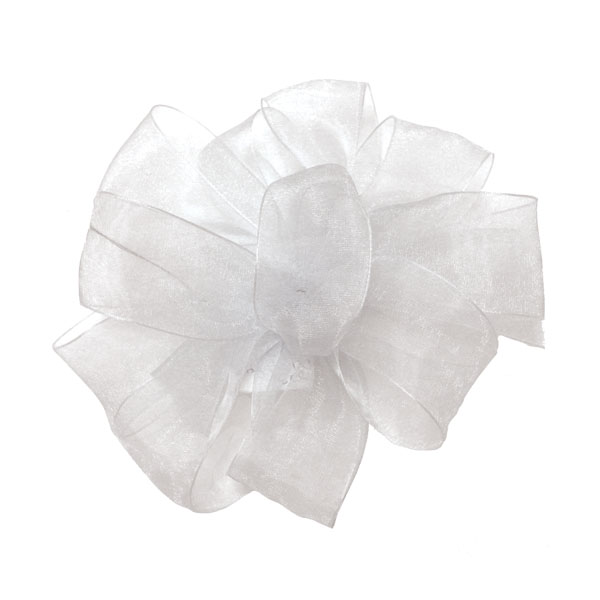 【BAON】24SS★ [BAONHAUS] Cramby Nylon Shirring Ribbon OP Bo Bunny Botanical Journal Collection 6
