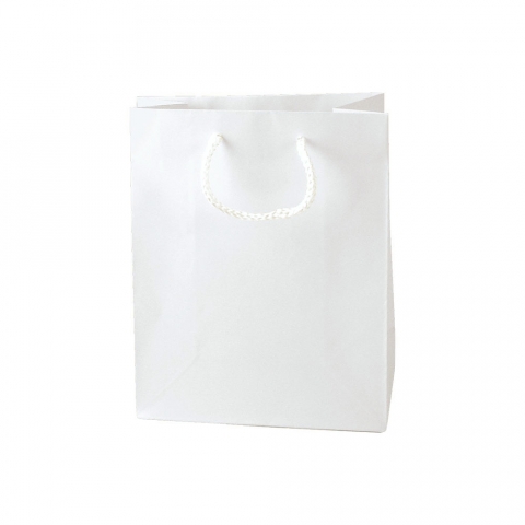 Paris Matte Laminated Gift Bag - 10