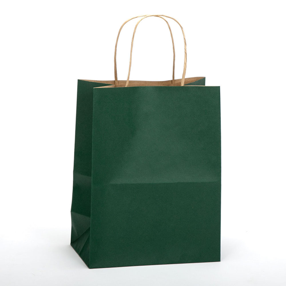 Evergreen Tinted Kraft Paper Shopping Bag - 8 x 5 x 10
