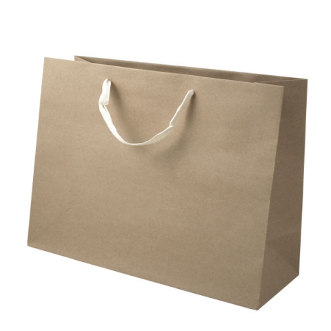 Retail Paper Bags/Merchandise Bags Cheap Recycled Paper Gift Bags with  Handle - China Paper Bag and Shopping Bag price | Made-in-China.com